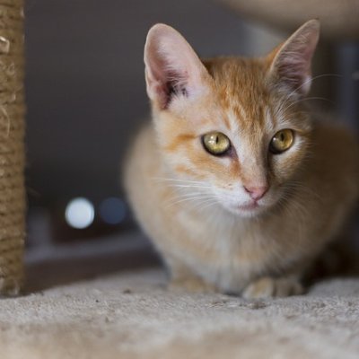 shanekawakawaka's profile picture. E7GE25WB