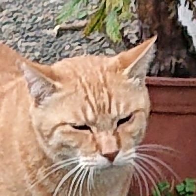 kaueavodisan's profile picture. FMラジオリスナー、
ラジオに関するツイートがメイン。

冷静な思考で情報を発信する方、
謙虚な姿勢で批判に負けずに
頑張る方々を応援します。
(いいね、リポストは基本賛同を意味)

尊敬する人:重光葵