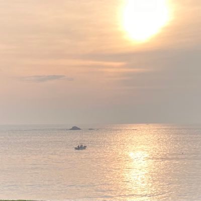 halleluya_blog's profile picture. 現PT/ブログ初心者 健康は人生の土台・最大の資産 ちょっぴりAIの「ちゃぴと」と奮闘中 🆕新着記事👇 https://t.co/8ZBvEQtQp1