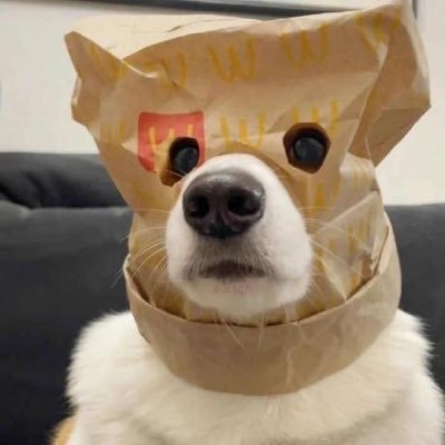 din_yaso's profile picture. 