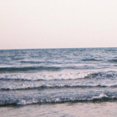 inu_to_hoshi's profile picture. 写真 MV / 日芸写真学科 / Instagram▶︎ https://t.co/lTD0h8wTji