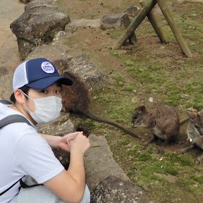 syudachin_numa's profile picture. 