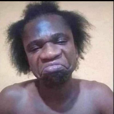 David019522401's profile picture. 🦅