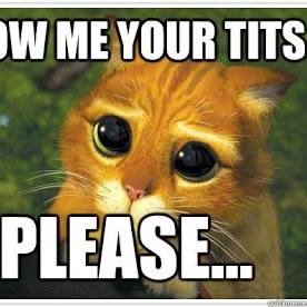 Just a regular guy who appreciates the finer titties in life
