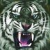 Kingda Ka Construction Updates (@kingdakahistory) Twitter profile photo Kingda Ka Construction Updates (@kingdakahistory) Twitter profile photo