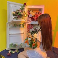 AdaHood (@w38w0bubjrs7yf8) 's Twitter Profile