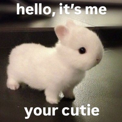 BENZERNULL's profile picture. love y'all