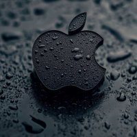 Lawren ADA (@ada_lawren) 's Twitter Profile Photo