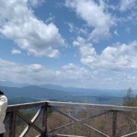 向き不向きムキムキ (@hoshi_ya_ta) Twitter profile photo