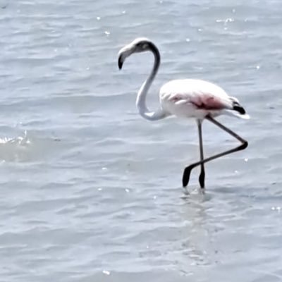 klussenkoning's profile picture. 