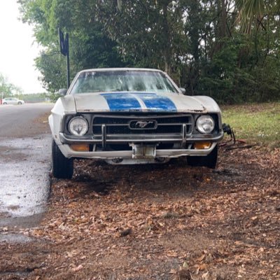 ponyridder72's profile picture. 