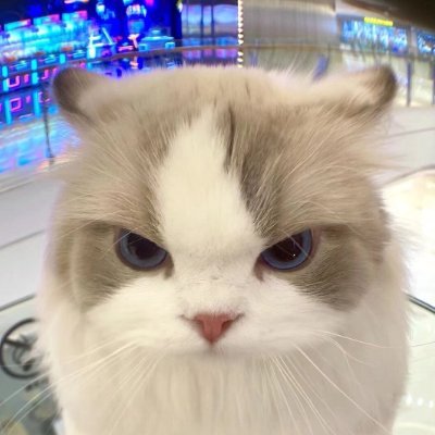 engineer @ huawei, virtual machines, league of legends