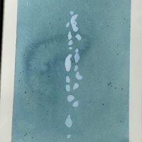 Nisha Amir (@nishaamirmaldiv) 's Twitter Profile