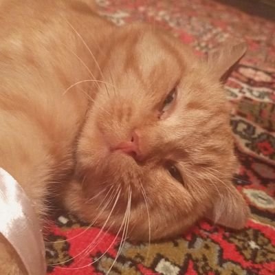 NWNDAO2I's profile picture. Games, books , music and movies