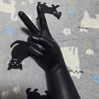 ゴム・マサキ (@m62_msk_rubber) 's Twitter Profile