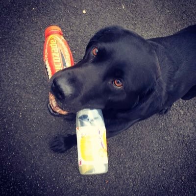 lo_qu3's profile picture. 