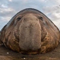 I'm a jokester_01 (@imajokester_01) 's Twitter Profile
