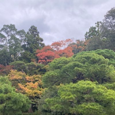 こちんださんのプロフィール画像
