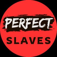 Perfect Slaves (@perfectslavesx) 's Twitter Profile Photo Perfect Slaves (@perfectslavesx) 's Twitter Profile Photo