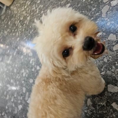 carefor380820's profile picture. 