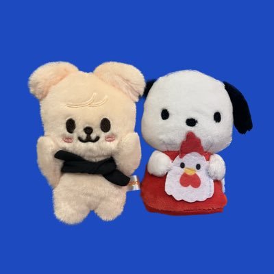 STAY🐶/JYP事務所推し/🇰🇷スミン🔰/カムバ応援📣/30↑/神奈川/無言フォロー失礼します🙇🏻♀️/カムバ期間うるさめ🗣️