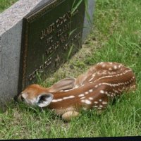 n. 𓇚 (@sortagoth666) 's Twitter Profile