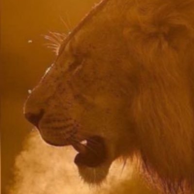 Un Descendant des rois est né. Un homme est fait de douleur, de manque de respect, de rejet, d'échec et de pertes.
