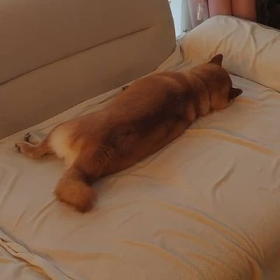 nyankoman_0112's profile picture. 