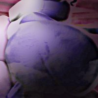 𝘽𝙄𝙂 𝘾𝘼𝙏 (🍆) (@bbm_00000) 's Twitter Profile