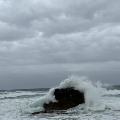 MichelleHu50169's profile picture. 