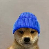 znn carliños! (@carloosfnn) 's Twitter Profile