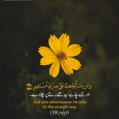 notyourfiza's profile picture. On the path of Hidayat