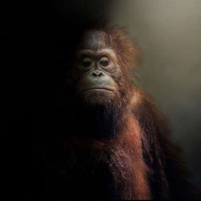 Brian Kavanagh Profile