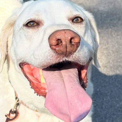 M_eskew's profile picture. 