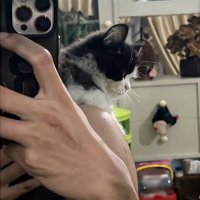 buat baca au (@sonyasorayaa) Twitter profile photo