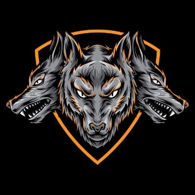 EWO Uncensored Champion
WGWF X-Division Champion
STILL AAW US & Tag Team Champion
Most importantly, @KJ_Jawdropper's partner in ring and in life.