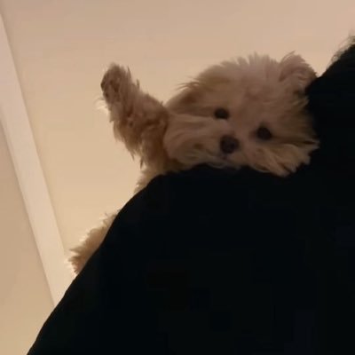 xxx_ttt39's profile picture. 