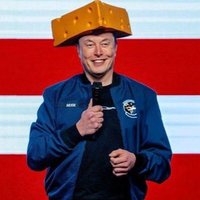 CEO Of Tesla (@elonmusk0908671) 's Twitter Profile