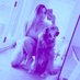 therealkayce884 (@mclayence) Twitter profile photo therealkayce884 (@mclayence) Twitter profile photo
