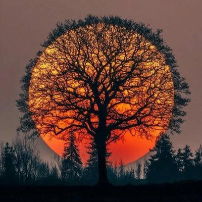 onemorepomp's profile picture. Waiting the last pump since 2015