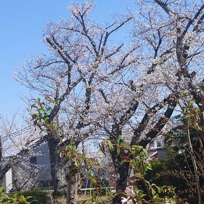 ikeikedondongo1's profile picture. 