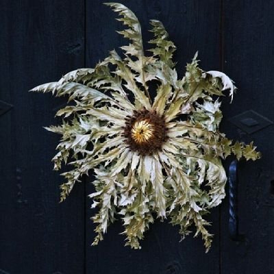 Lisbeth_Marlon's profile picture. De padres judios no ortodoxos, mi tierra Euskadi, mis idiomas el euskera, castellano, inglés, mi pareja es Escocés y le conocí en Edimburgo.