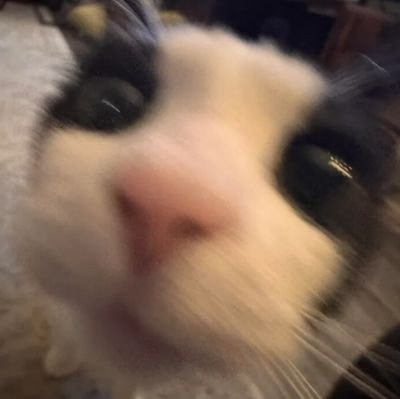 EggsAndBacon89's profile picture. 