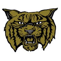 Rison Wildcat Football (@risonwildcatsfb) 's Twitter Profile