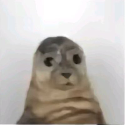 pre49797_perez's profile picture. 13Yr/Div 1/ player for @HybridsSport / Promesa 🇲🇽🐐