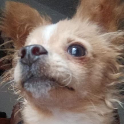 ReyloYt48643's profile picture. 