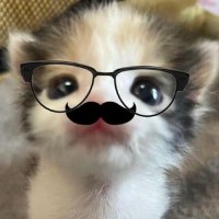 LinLin🐼 (@mokkai1231) 's Twitter Profile