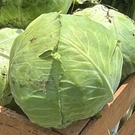 HugoPerez715's profile picture. single joven de 25 años, con experiencia solvente y cumplidor conozco mi lugar como tercero me encanta los tríos y los cuckold