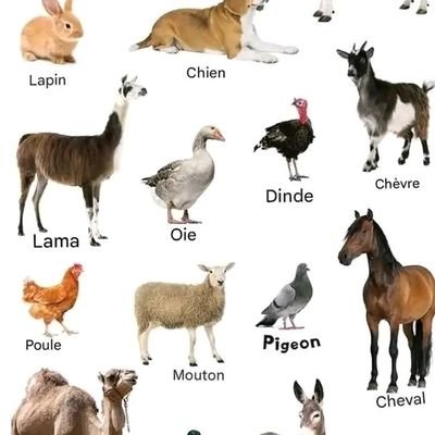 Gabriel38423381's profile picture. 