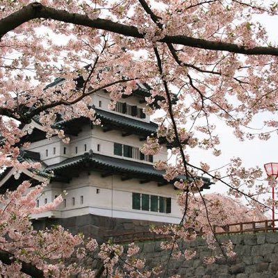 tanaka0147766's profile picture. 健康こそが資産